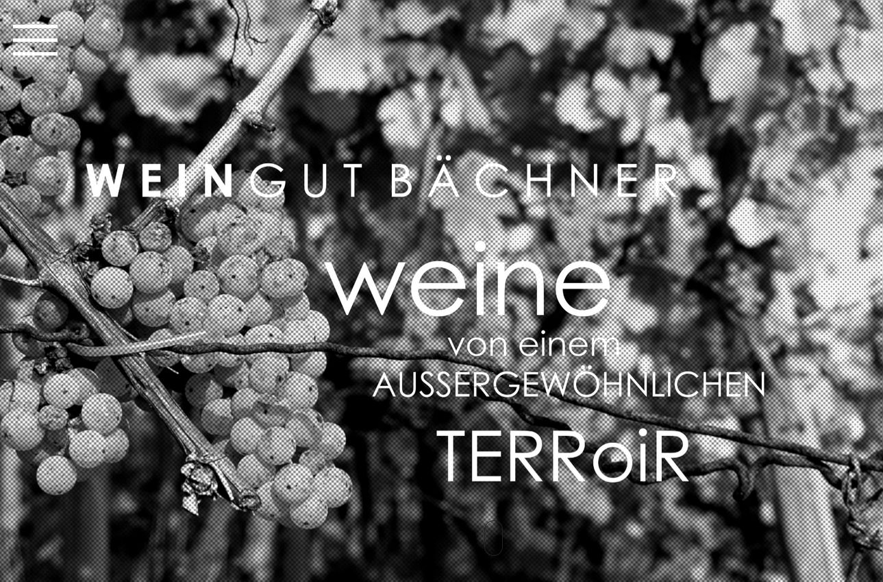 Weingut Bächner - 72581 Dettingen